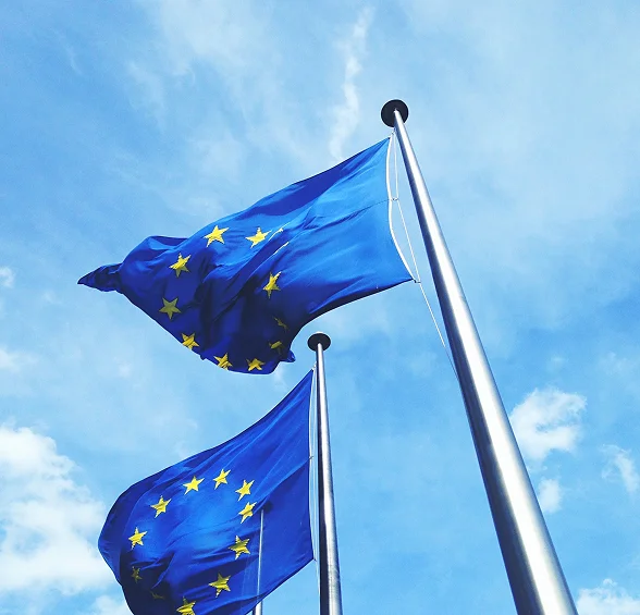 EU Flags